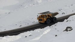 Областное правительство держит на контроле ситуацию с Бошняковским угольным разрезом