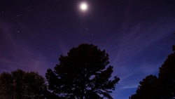 Лунный календарь на 5 августа: остерегайтесь пьяных и не расторгайте брак