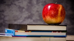 Тест на эрудицию: вы подкованы во всем, если наберете 9/9