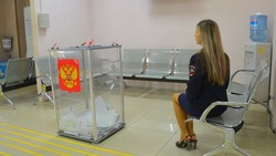 Эксперты оценили уровень подготовки к выборам 10 сентября на Сахалине