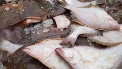 Доступная рыба