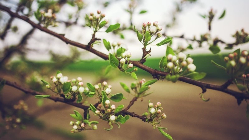 Народные приметы на 4 мая 2024: что нельзя делать в этот день