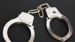Житель Углегорского района хранил дома 24 грамма марихуаны