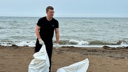 В Углегорском районе провели субботник на морском побережье