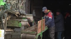 Фермеры Углегорского района завершают уборку моркови