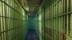 Житель Углегорского района получил 10 лет тюрьмы за убийство женщины