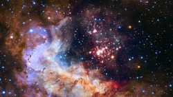 Гороскоп на 29 декабря 2023 года: чем нельзя заниматься в этот день