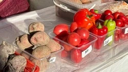 Покровская ярмарка