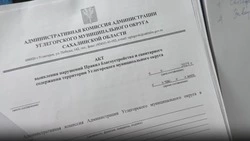 Инспекция административной комиссии