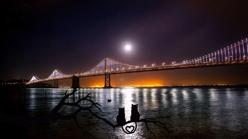 Критика Овнов и эмоции Скорпионов: гороскоп на 12 августа 2023 года