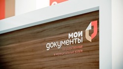 Специалисты МФЦ продолжают консультировать жителей сел Углегорского района