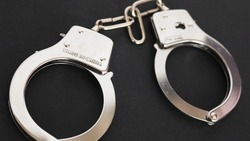 Житель Шахтерска хранил дома более 500 граммов марихуаны