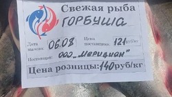 Ждем красную рыбу