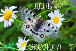 С Днем эколога 2024: открытки и картинки