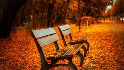 Народные приметы на 12 сентября: что нельзя делать в Александров день