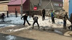 Депутаты предложили менять субботники на полкоммуналки