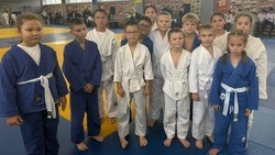 Девять медалей в копилке округа