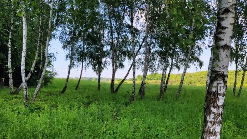 Церковный праздник 1 июля 2024: что можно и нельзя делать в этот день, приметы