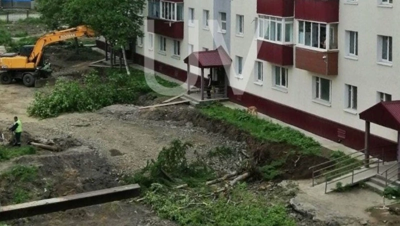 Сорокалетние деревья пали от рук строителей в Шахтерске