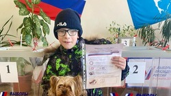 В Углегорском районе завершилось голосование на выборах Президента России