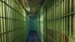 Житель Углегорского района получил 10 лет тюрьмы за убийство женщины