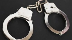 Житель Шахтерска хранил дома более 500 граммов марихуаны