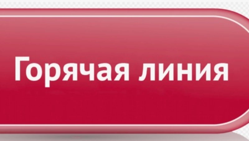 Для участников СВО организовали «горячую линию» Центра военно-социальной поддержки
