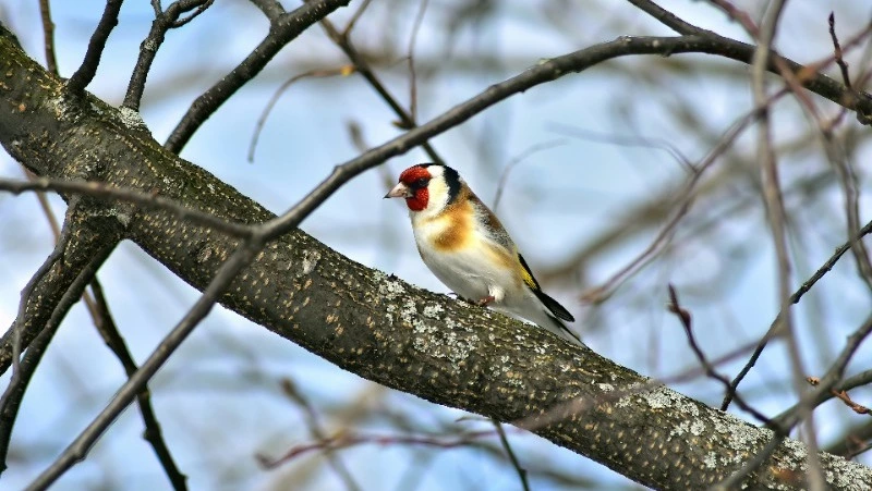 Народные приметы на 16 марта 2024: что нельзя делать в этот день