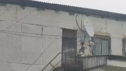 Добегались: родителей детей, бегающих по крышам в Углегорске, ждут профбеседы