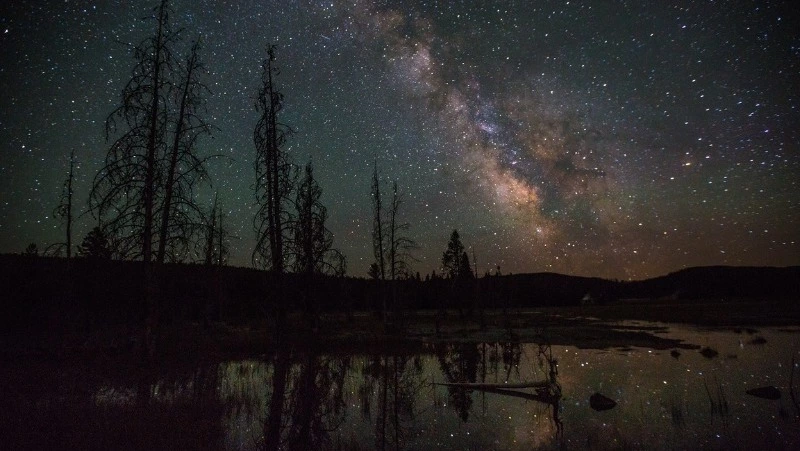 Развитие Раков и опасность Близнецов: гороскоп на 18 июля 2023 года