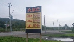 Цены на бензин неприятно удивили жителей Углегорска