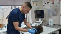 На страже здоровья животных