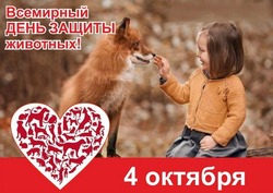 С Днем защиты животных-2024: милые картинки и открытки