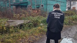 Агрессивные собаки покусали семилетнюю девочку в Углегорске 