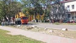 Многолетние тополя пали жертвой благоустройства парковки в Углегорске