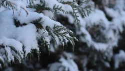 В плену гололеда