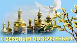 Вербное воскресенье 2024: красивые картинки