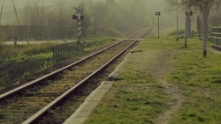 Сон в ночь на 20 октября: трактовка по лунному календарю