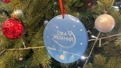 Чудеса под Новый год