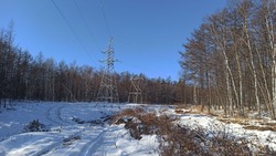 Новую ЛЭП «Шахтерская - Ударновская» ввели в эксплуатацию