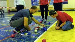 Трудовые коллективы Углегорска определили лучших в соревнованиях по игре бочча