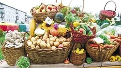 К сведению: «Осенние дары», «Доступность услуг для каждого», «Спорт доступный каждому»