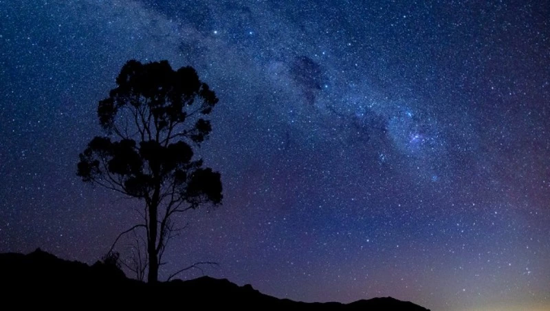 Свидания Тельцов и ревность Овнов: гороскоп на 27 июня 2023 года