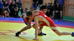 Открытый турнир по вольной борьбе пройдет в Углегорске